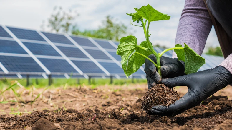 Sistema de energia solar em propriedade rural produtiva - Energia solar rural em Dourados e região